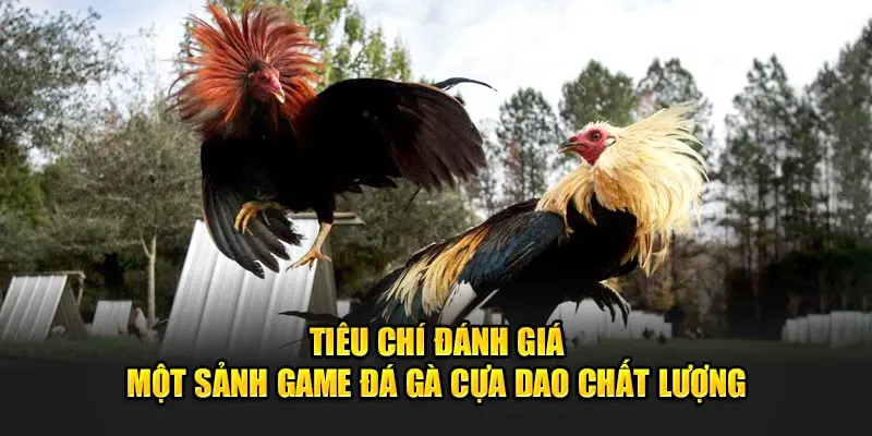 Tiêu chí đánh giá một sảnh game đá gà cựa dao chất lượng.